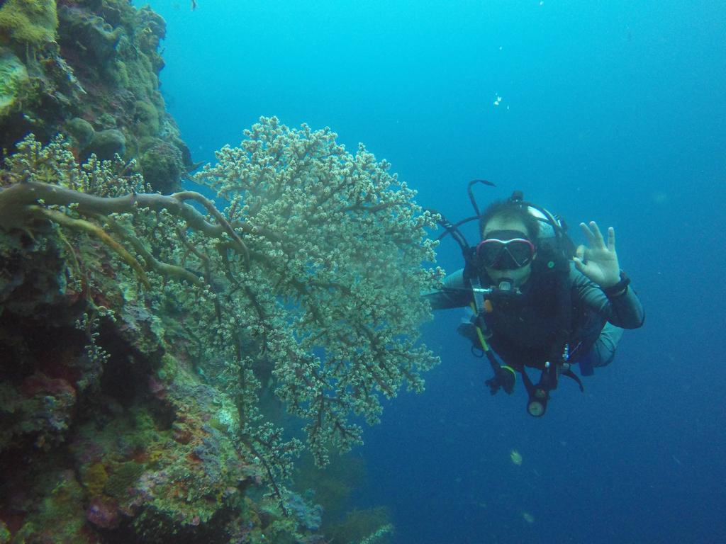 Biorock Homestay & Dive Center Pemuteran Kültér fotó