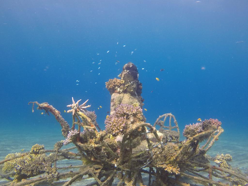 Biorock Homestay & Dive Center Pemuteran Kültér fotó