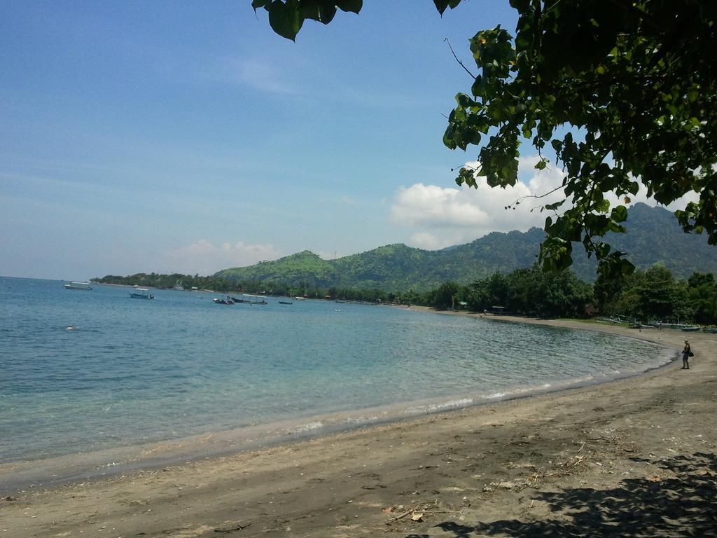 Biorock Homestay & Dive Center Pemuteran Kültér fotó